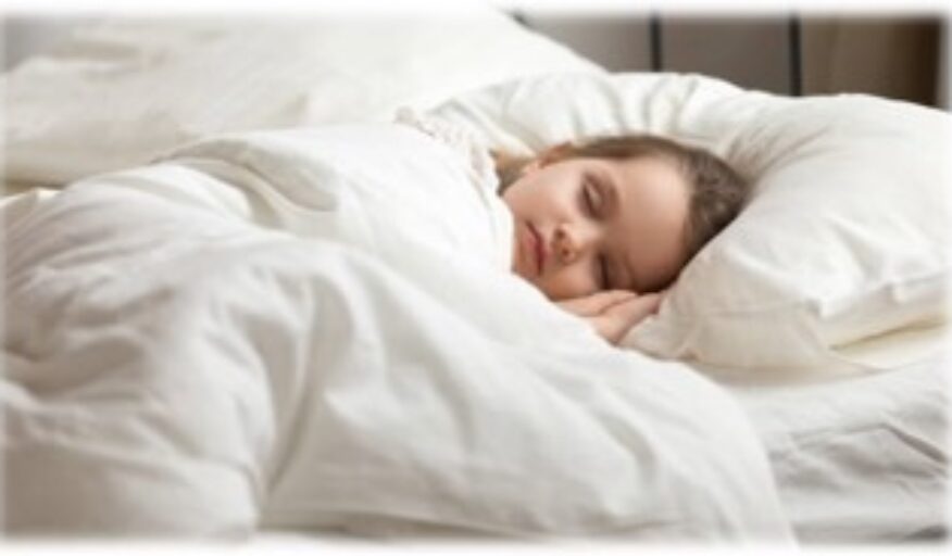 Down and Feather Bedding is Becoming More Popular in Hotels – Why?