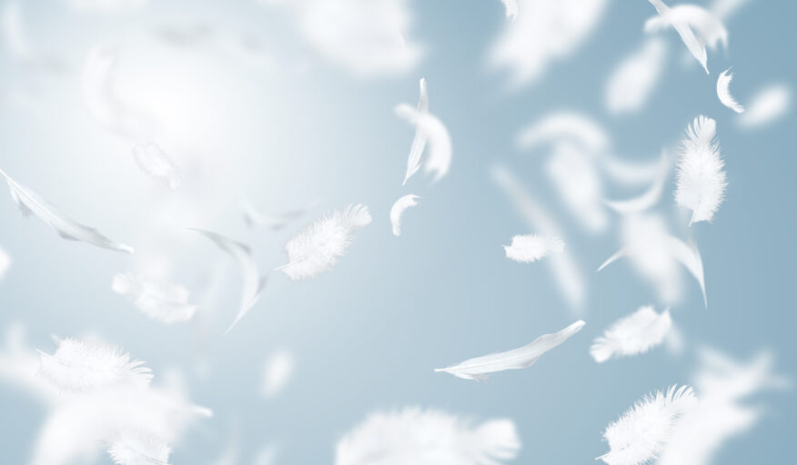 Down and Feather: One of the World’s Great Sustainable Materials