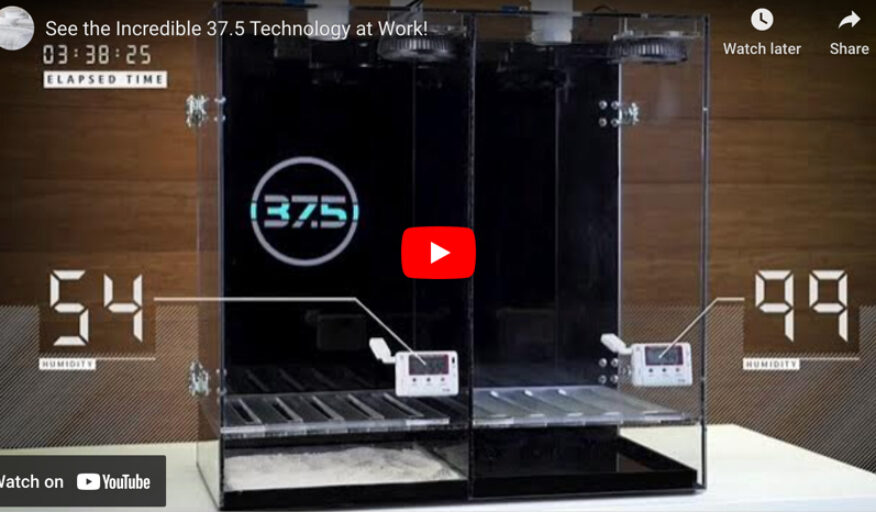 See 37.5 Technology at Work