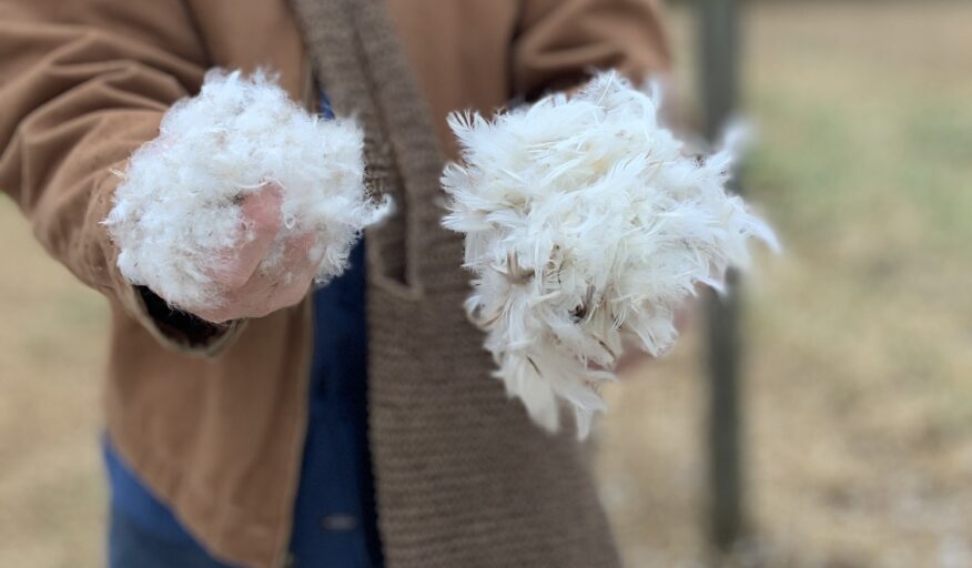 Floating on Air: The Magic of Down and Feather Bedding Unveiled, Pt. 1/6